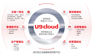 软件产品的互联网销售 策略、优势与挑战